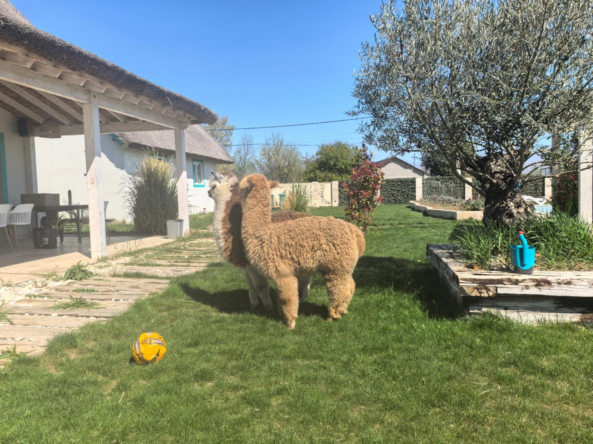 Laguna Vadu Dış mekan fotoğraf